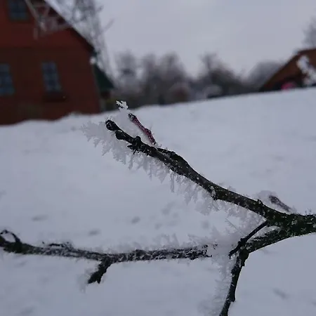 Na Vyhlidce Horská chata